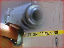 gun